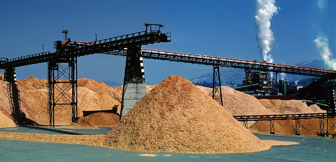 Woodchip mounds and conveyor gantries at a pulp mill, with stack emissions behind
